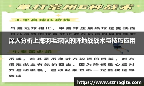 深入分析上海羽毛球队的阵地战战术与技巧应用
